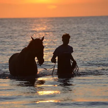Maison Proche De La Mer, Normandie Surville (Manche)