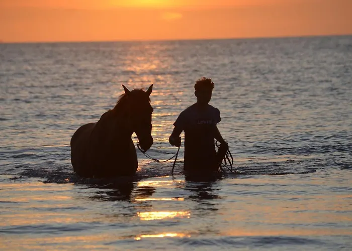 Maison Proche De La Mer, Normandie Surville (Manche)